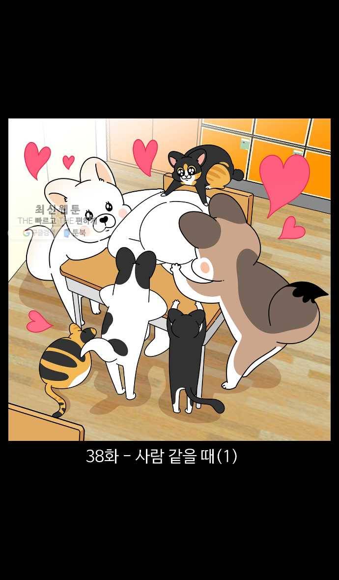 노곤하개 시즌4 38화 사람 같을 때 (1) 1