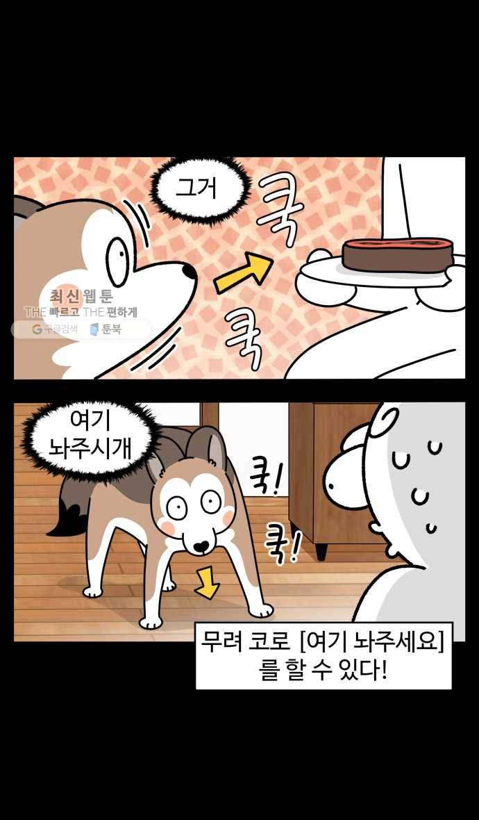 노곤하개 시즌4 38화 사람 같을 때 (1) 4