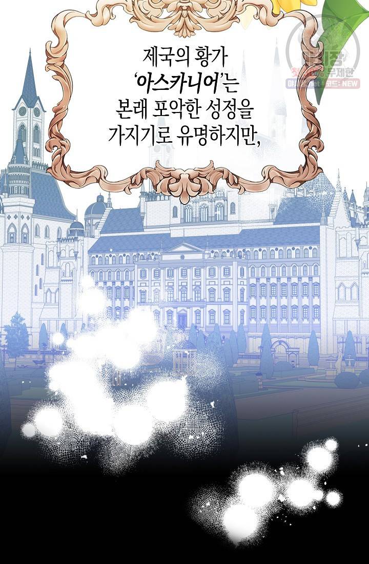폭군 오빠가 셋이래요 프롤로그 3
