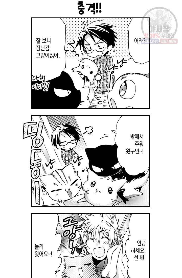 아시야 씨네 고양이 27화 5