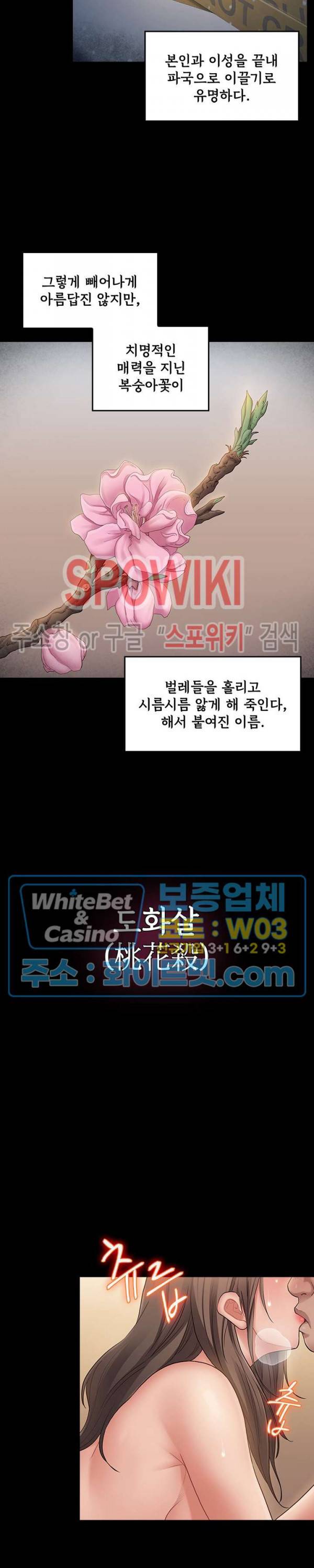 도화 63화 2