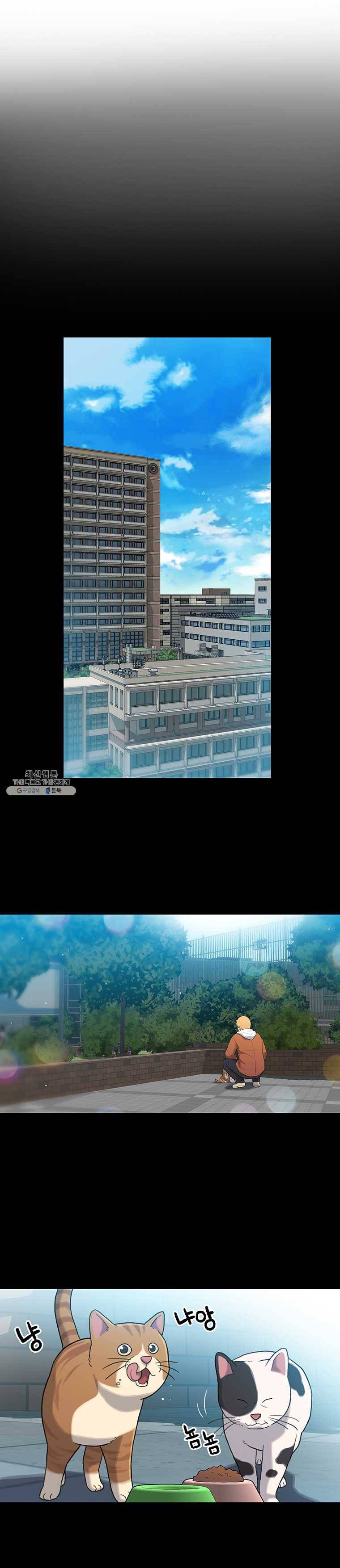 무지개다리 파수꾼 31화 12