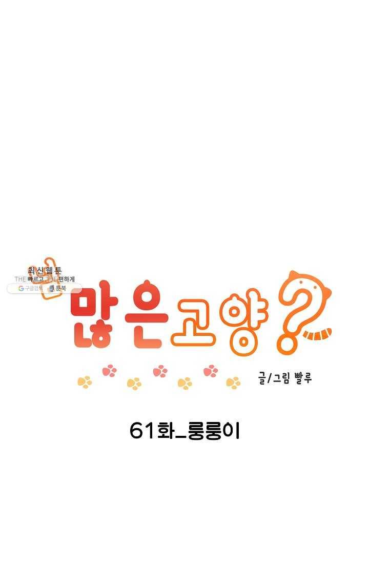 넘 많은 고양! 062화 1