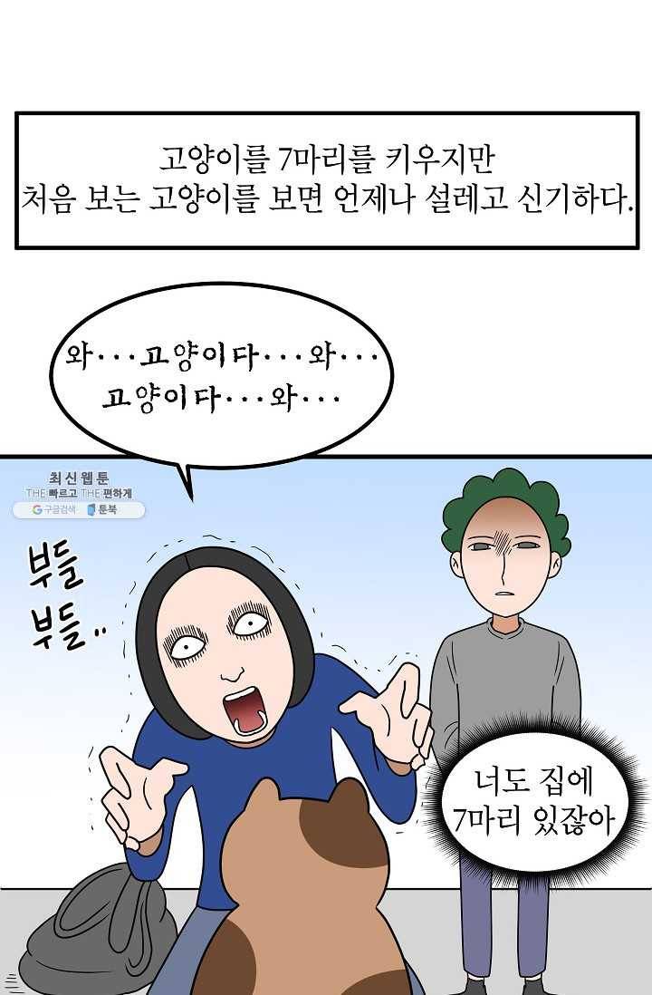 넘 많은 고양! 062화 2