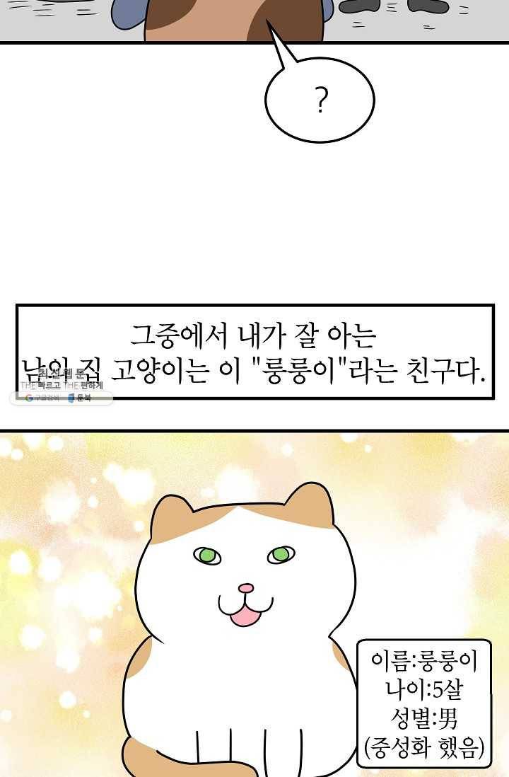 넘 많은 고양! 062화 3