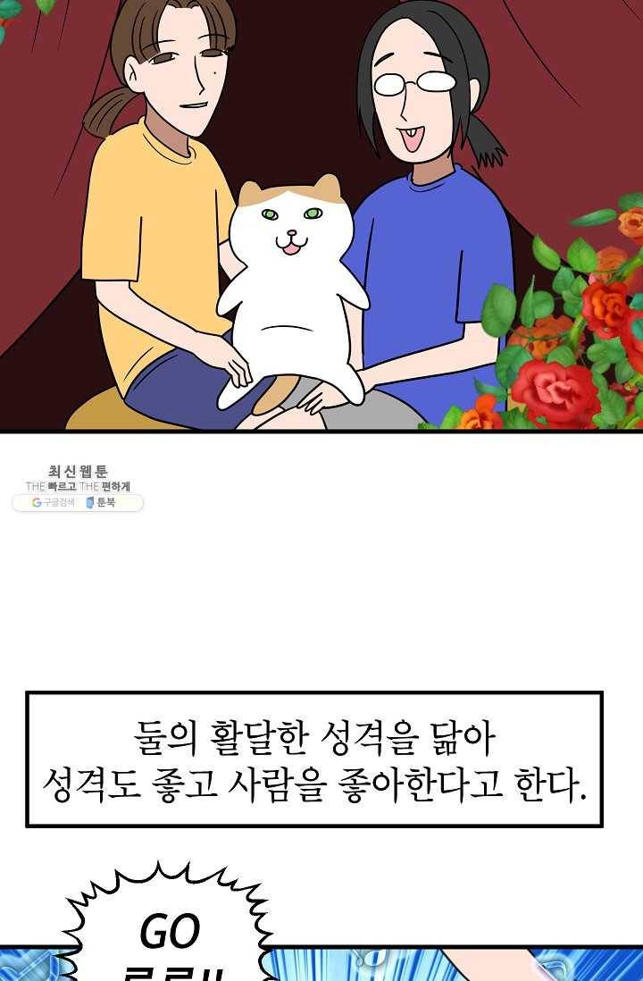 넘 많은 고양! 062화 5