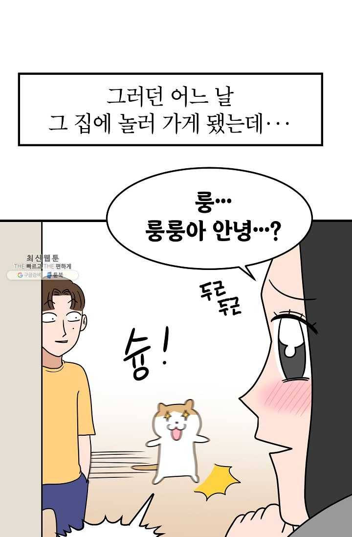 넘 많은 고양! 062화 7