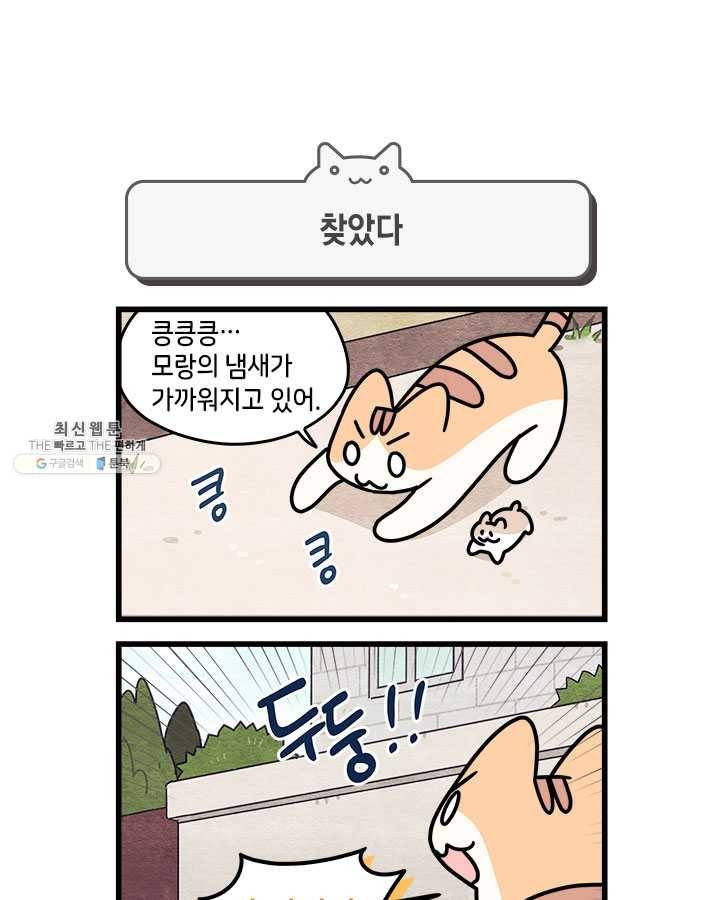 지구의 주인은 고양이다 외전 4화 1