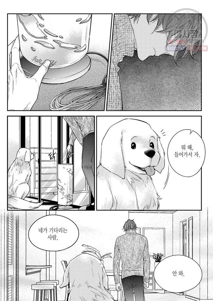 비의도적 연애담 29화 5