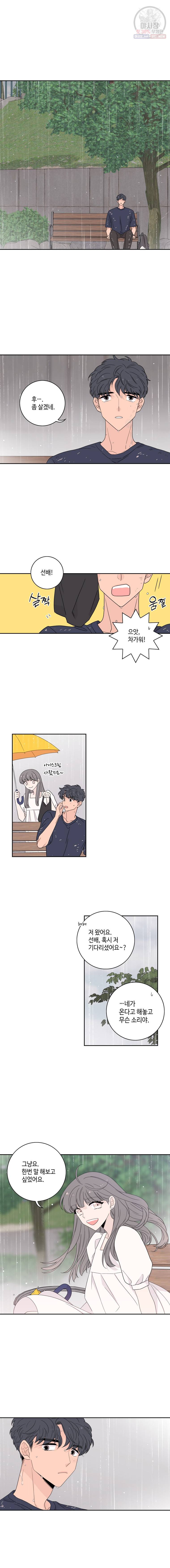 토이 콤플렉스 15화 6