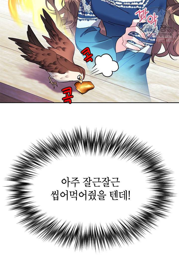 전령새 왕녀님 5화 13