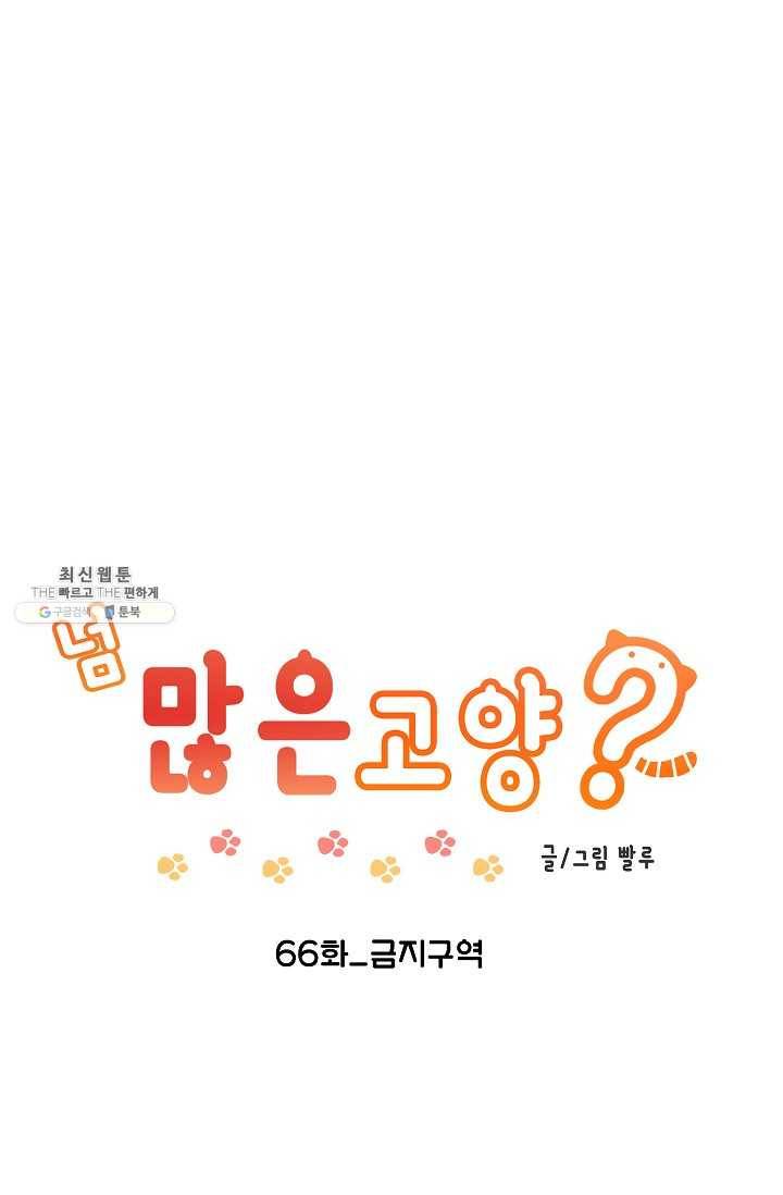 넘 많은 고양! 067화 1