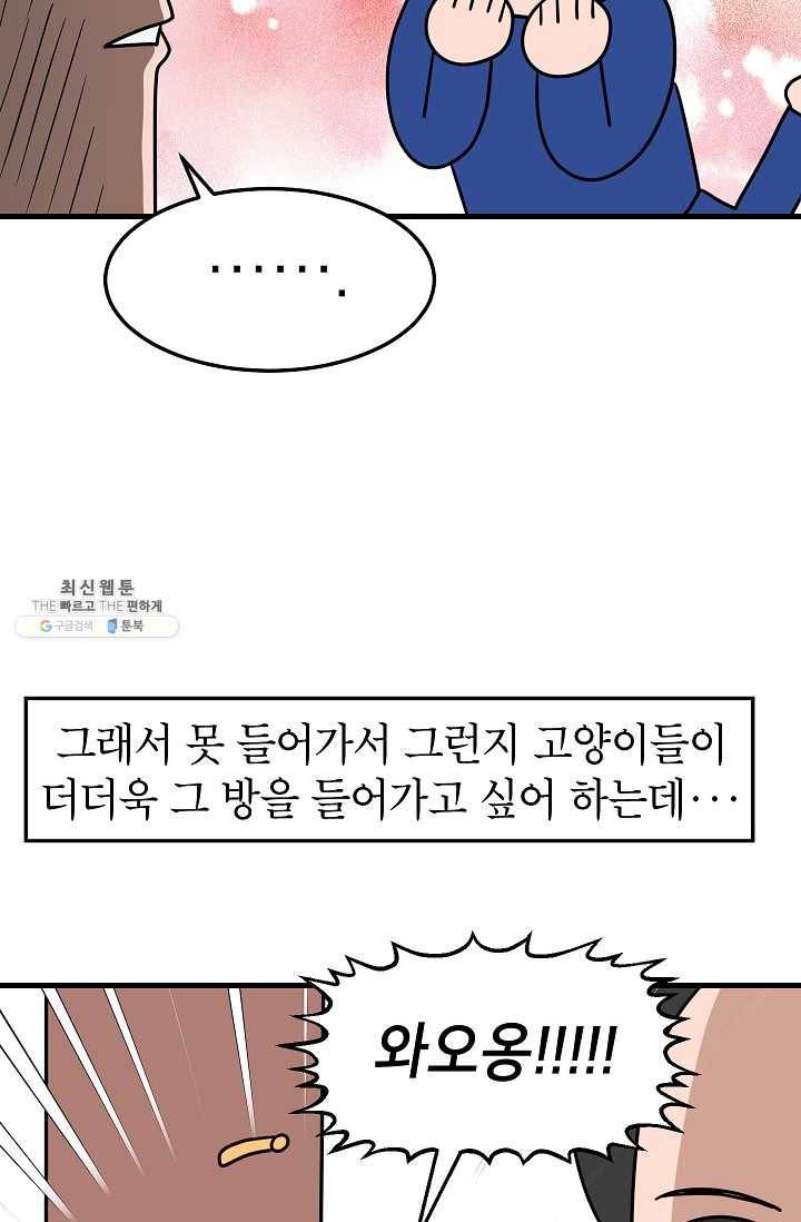 넘 많은 고양! 067화 8
