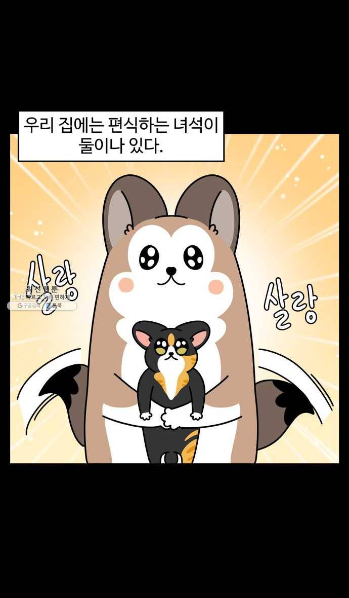 노곤하개 시즌4 49화 편식의 진실 2
