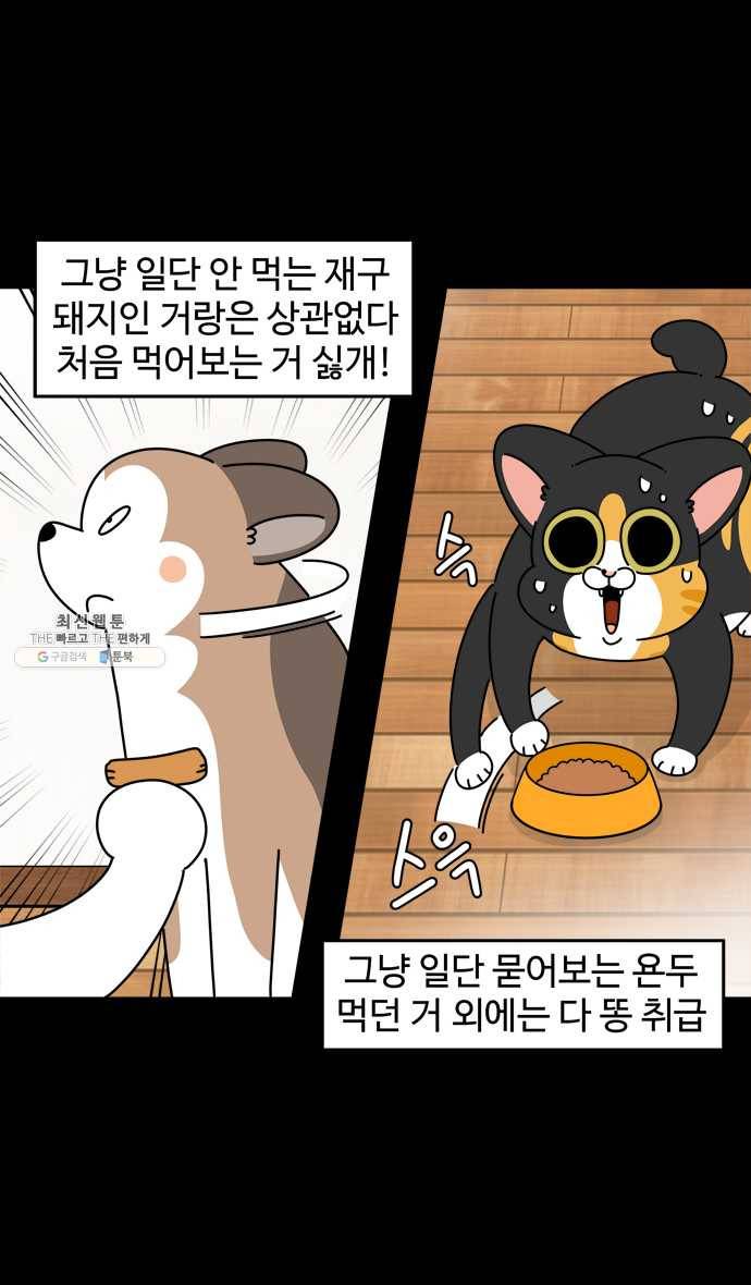 노곤하개 시즌4 49화 편식의 진실 3