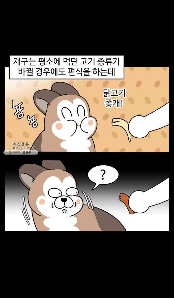 노곤하개 시즌4 49화 편식의 진실 6