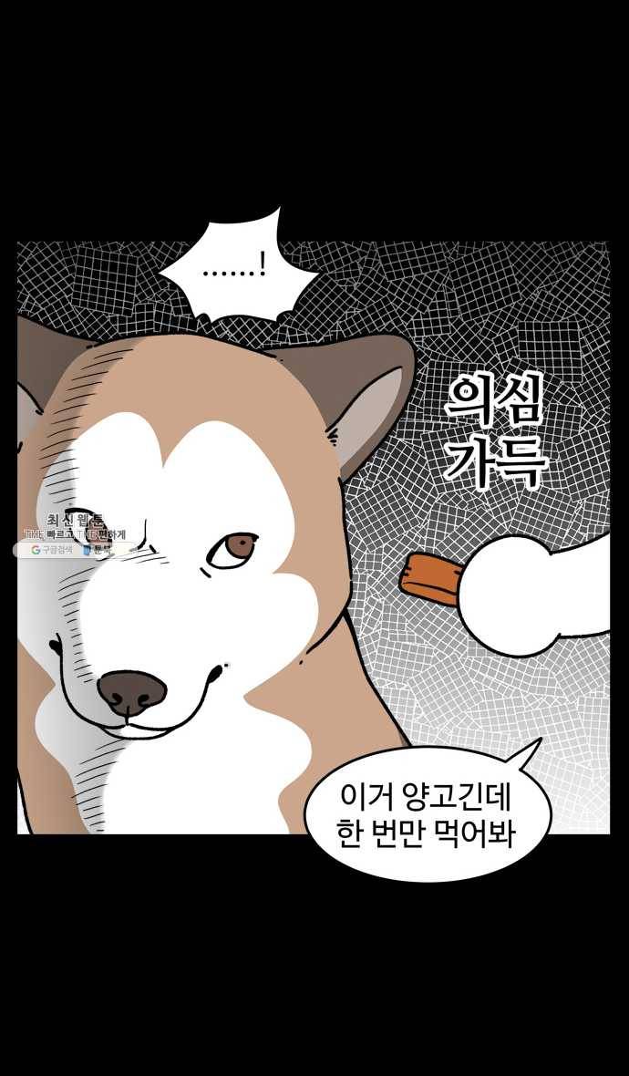 노곤하개 시즌4 49화 편식의 진실 7