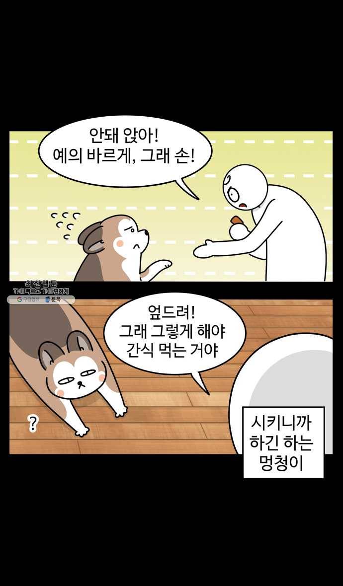 노곤하개 시즌4 49화 편식의 진실 10