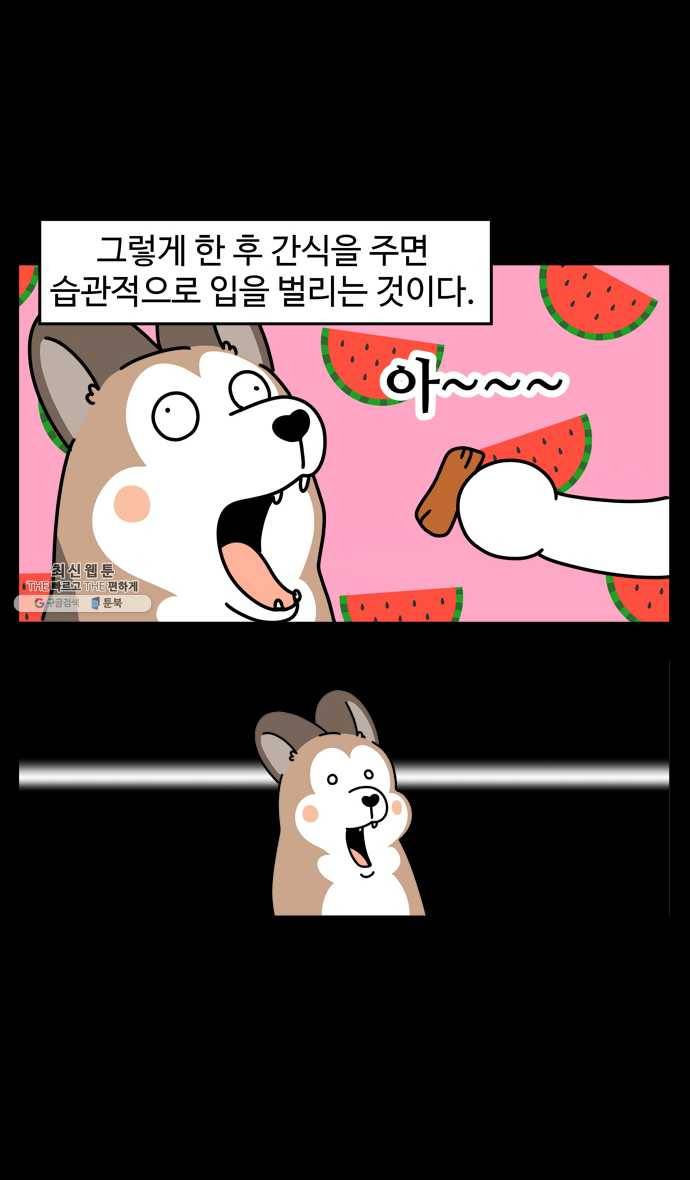 노곤하개 시즌4 49화 편식의 진실 11