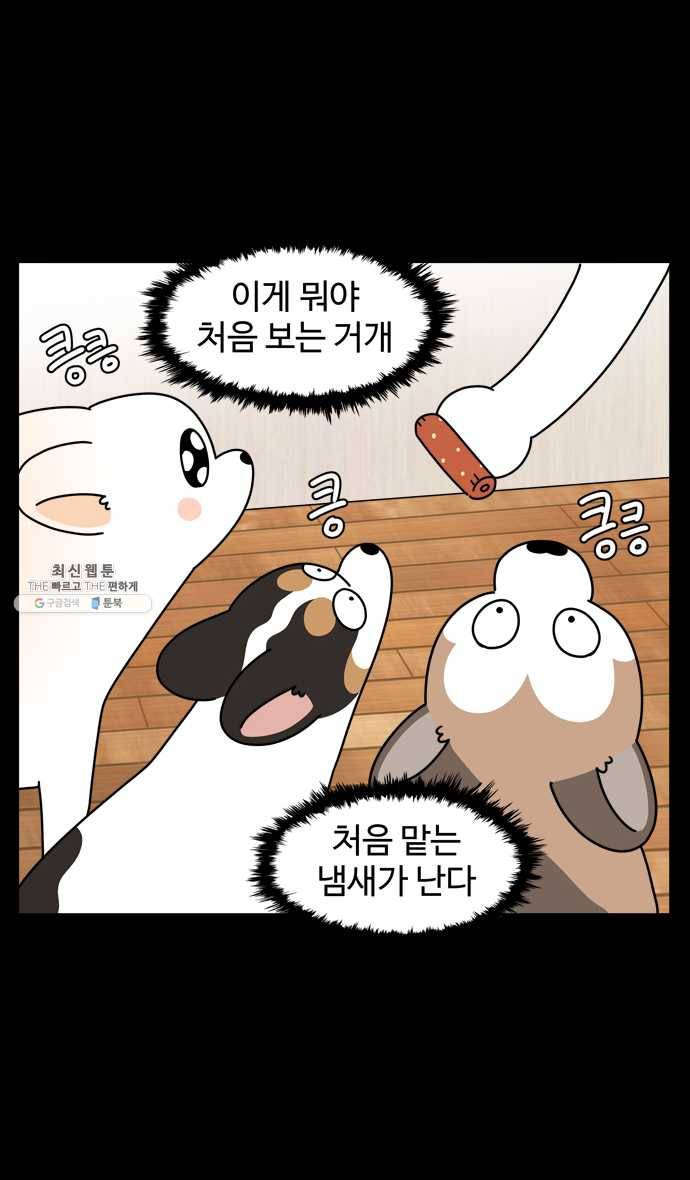 노곤하개 시즌4 49화 편식의 진실 16