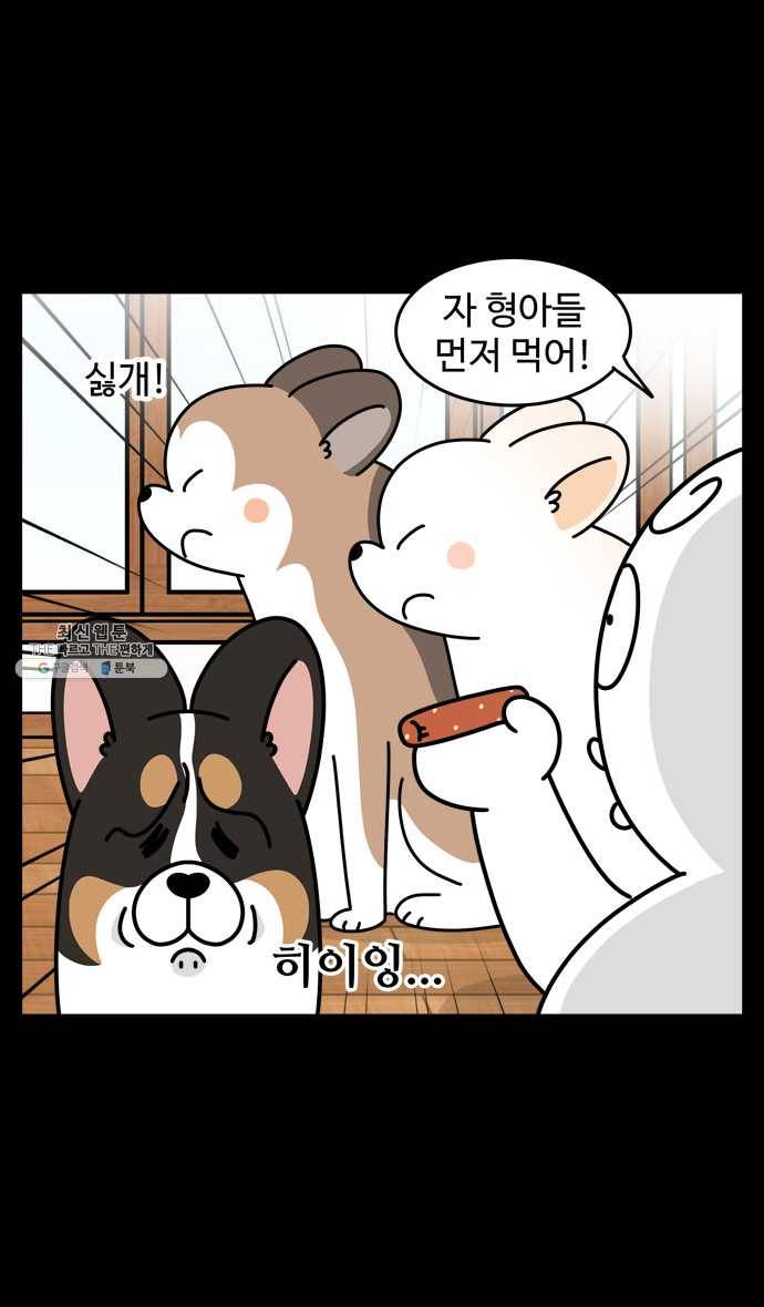 노곤하개 시즌4 49화 편식의 진실 18