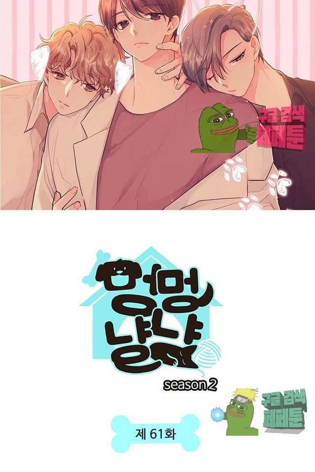 멍멍냥냥 61화 12