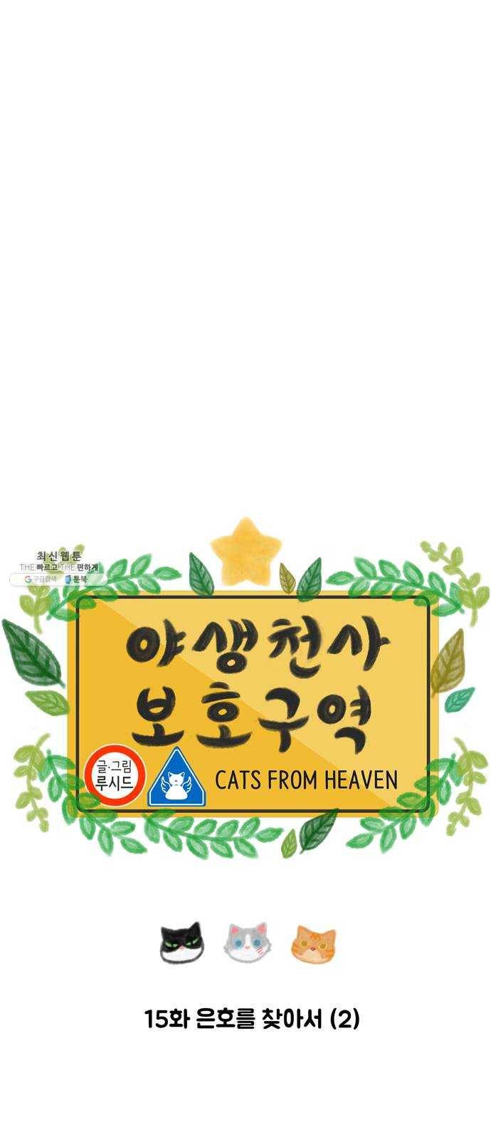 야생천사 보호구역 15화 은호를 찾아서 (2) 6