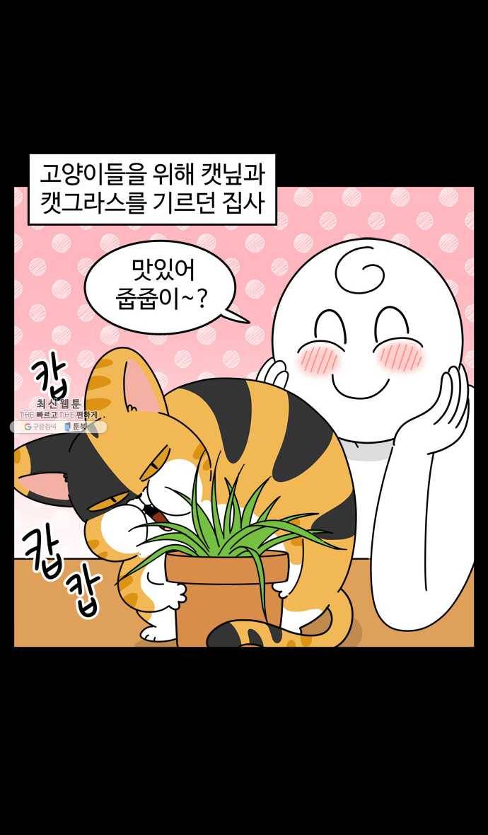 노곤하개 시즌4 54화 노곤하초 2