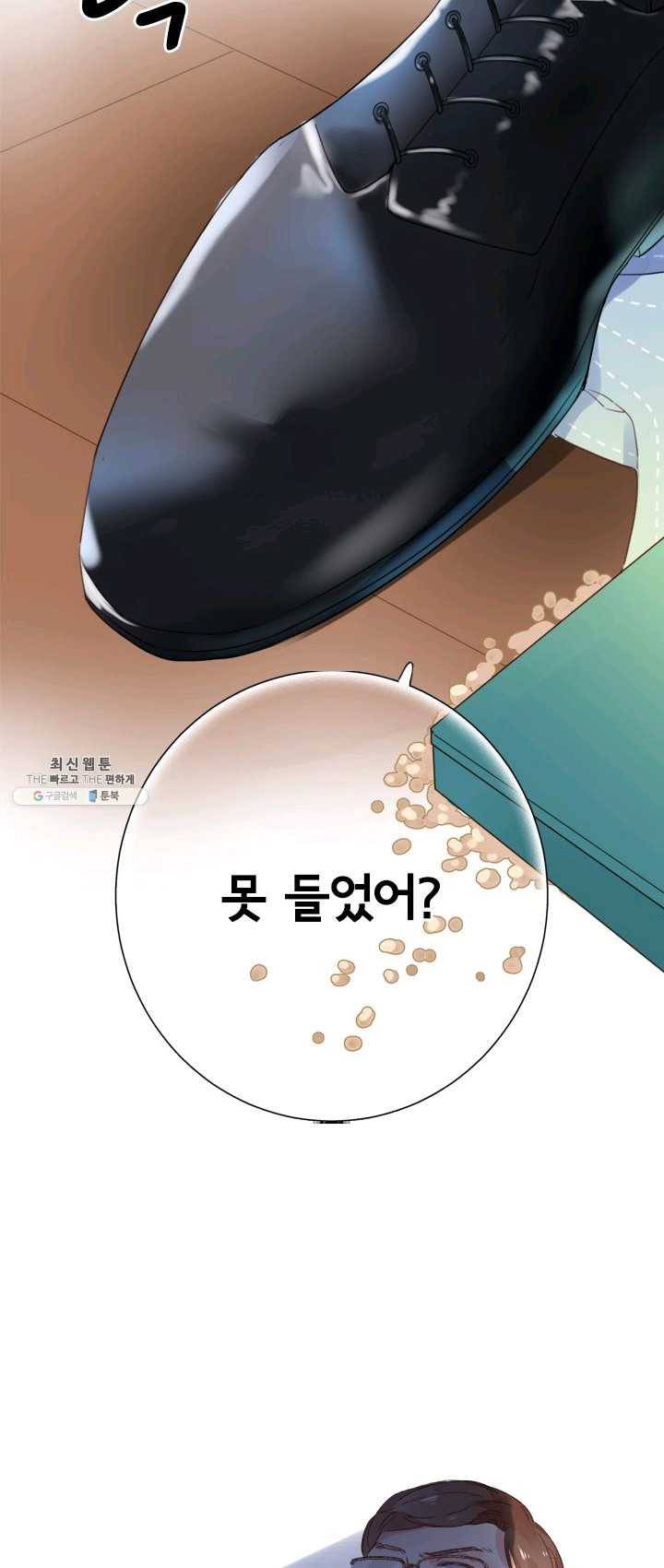 돌로의 운명캡슐 41화 17