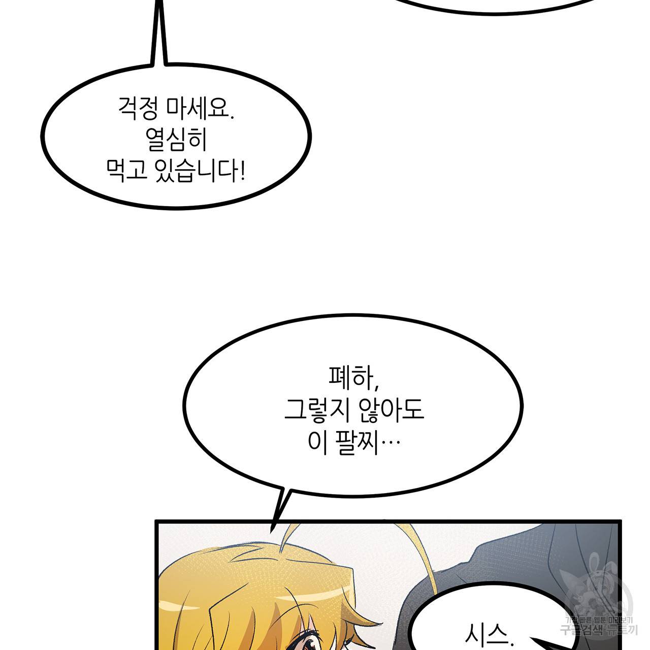 황제의 약혼녀로 산다는 것은 17화 78