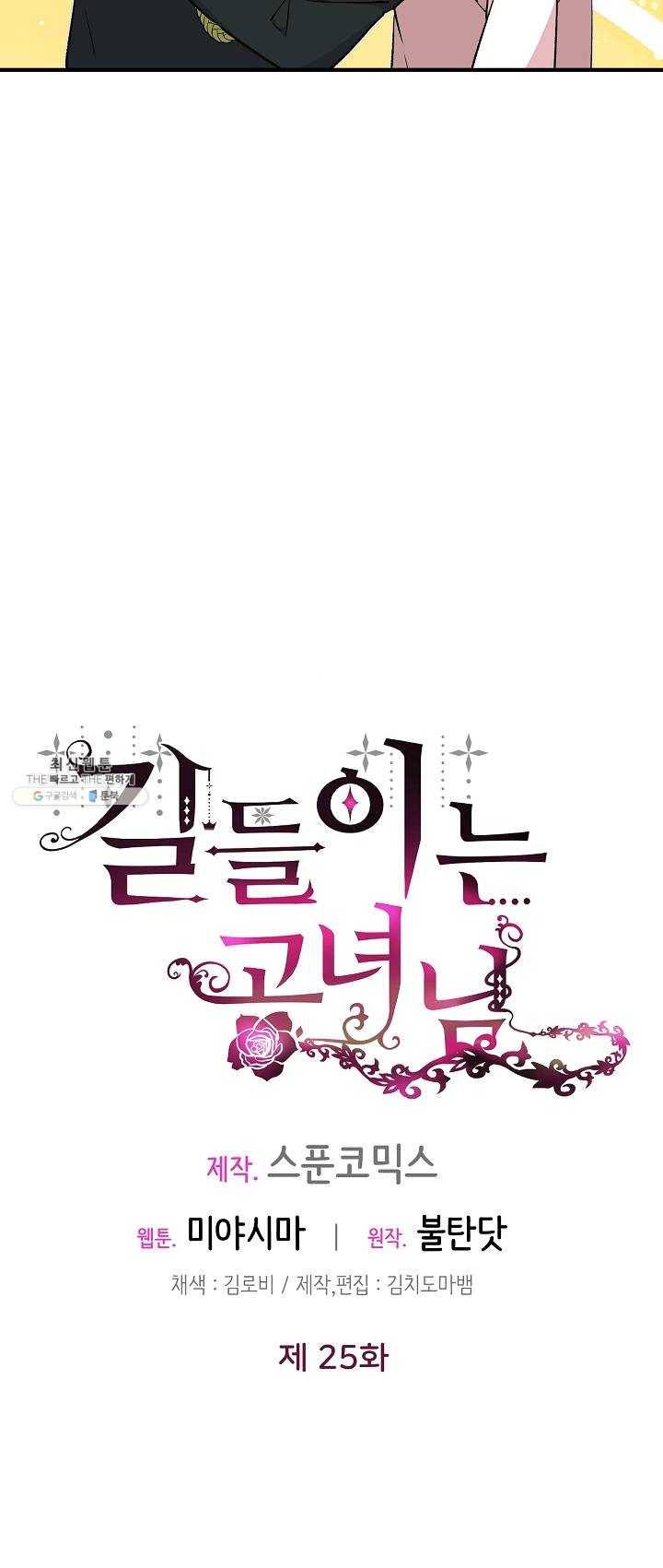 길들이는 공녀님 25화 10