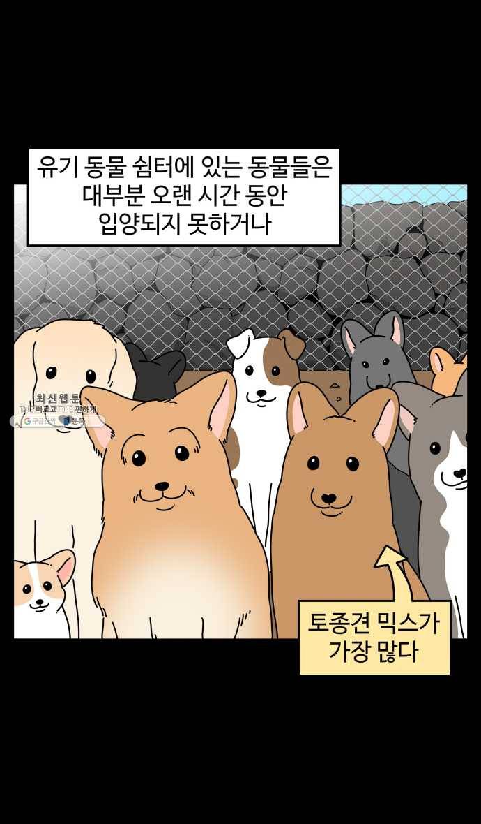 노곤하개 시즌4 56화 유기동물 쉼터 이야기 (1) 4