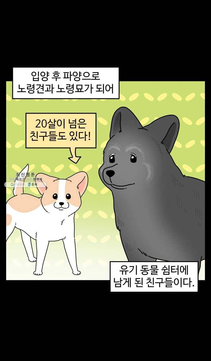 노곤하개 시즌4 56화 유기동물 쉼터 이야기 (1) 5