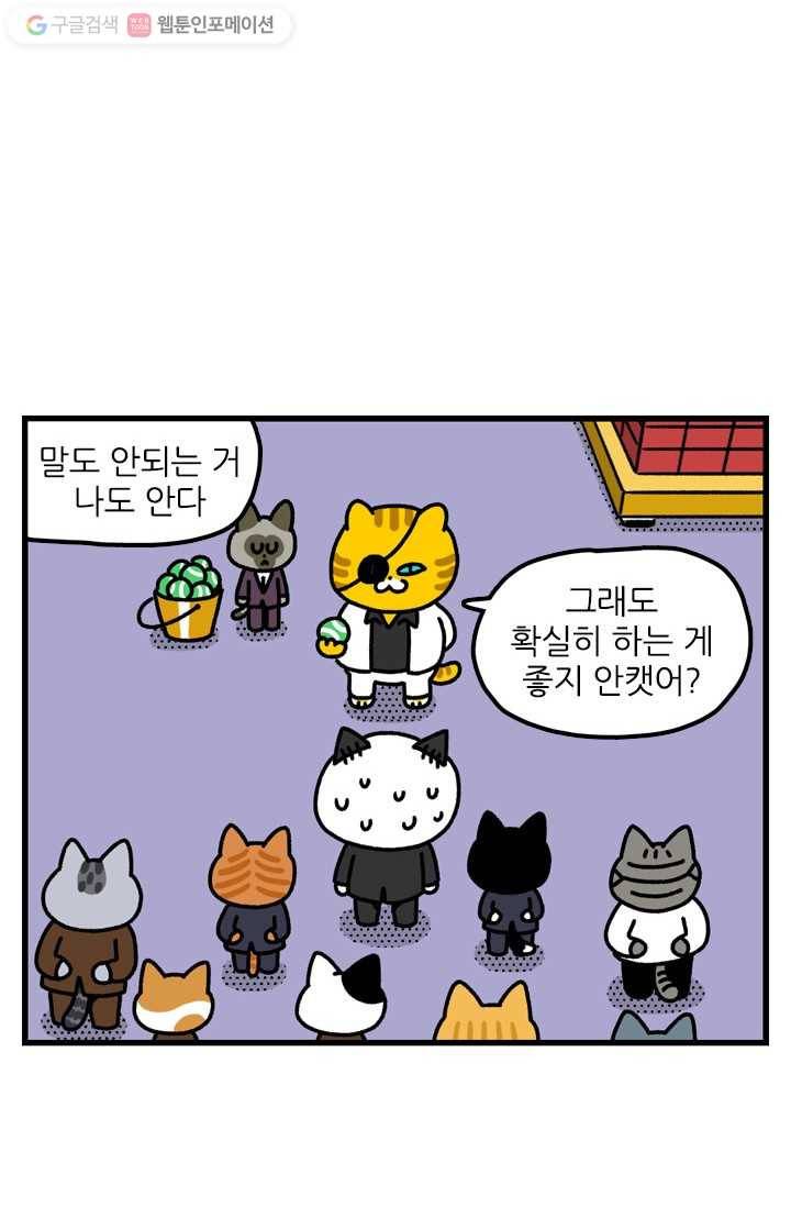 신세개냥 17화 2