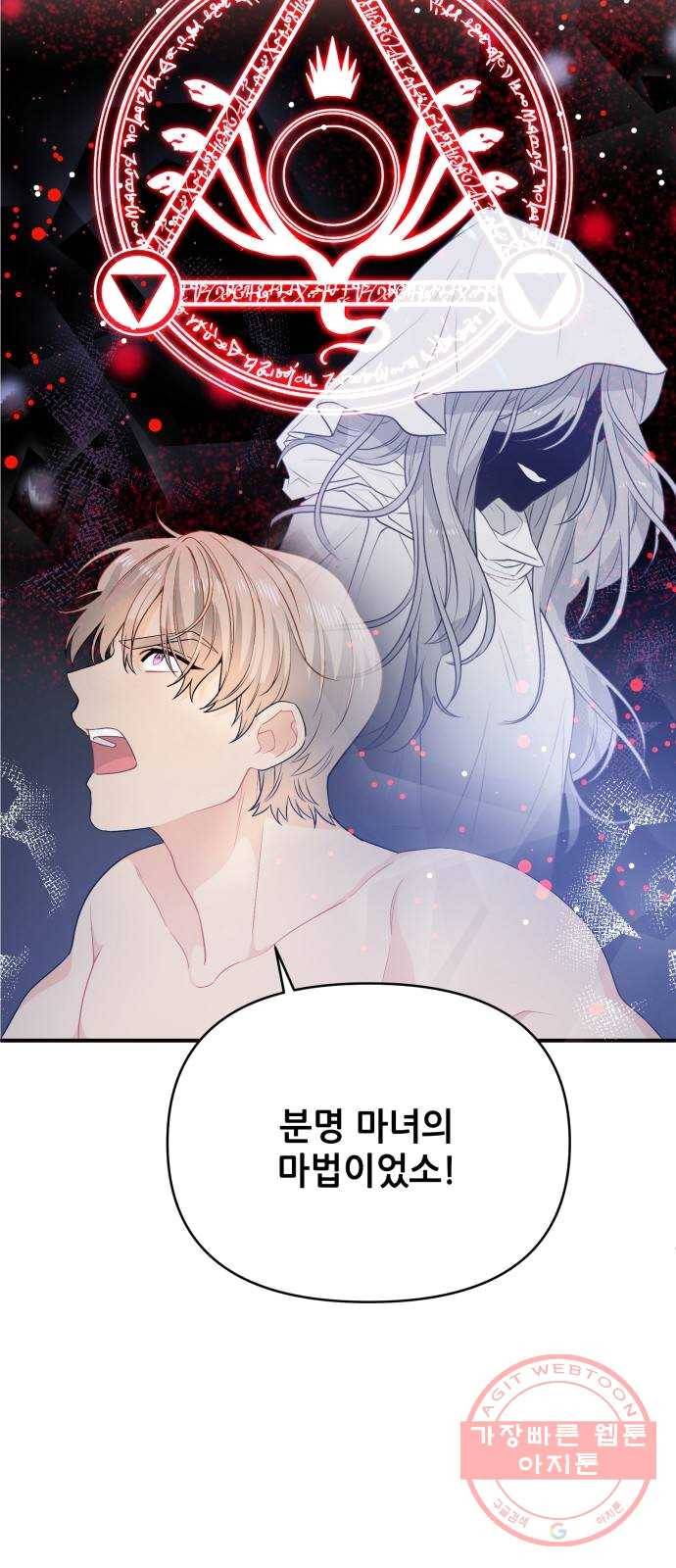 기사님을 지켜줘 11화 47