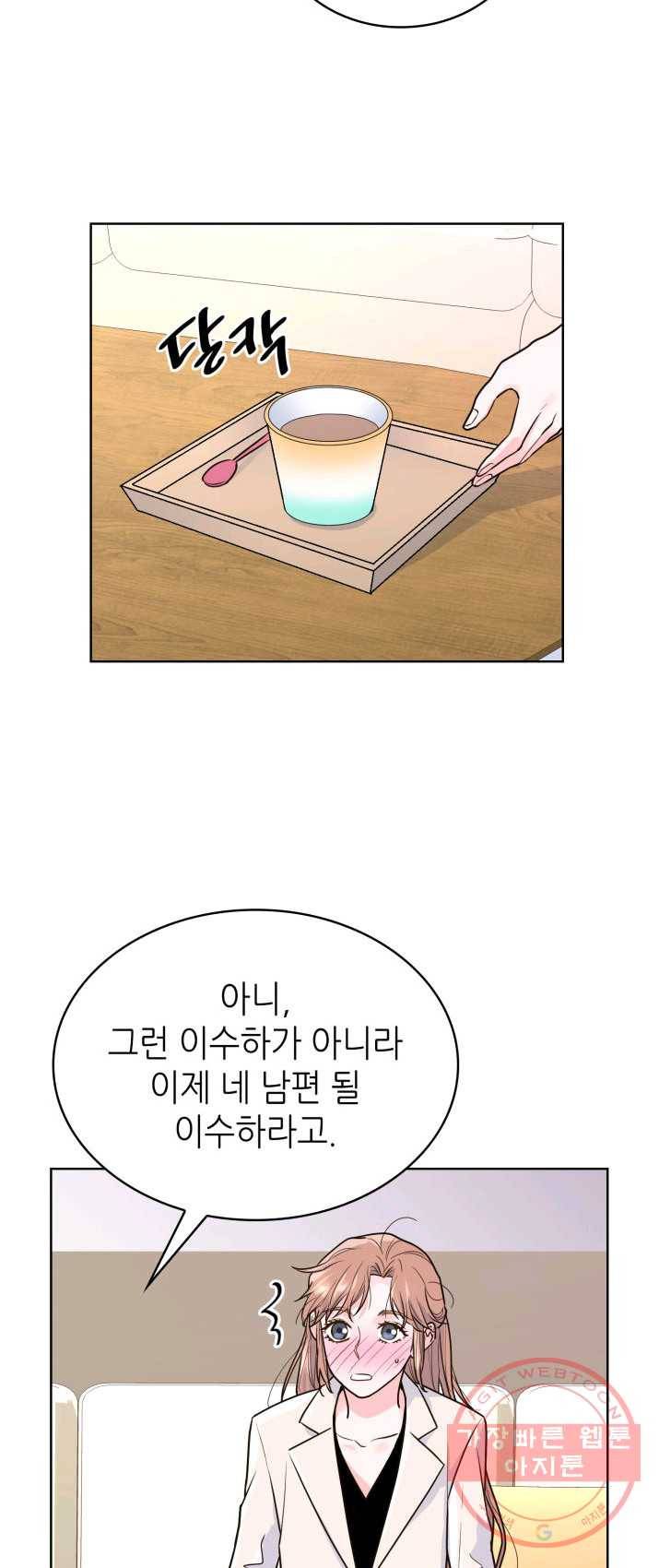 은밀한 나의 동거인 13화 45
