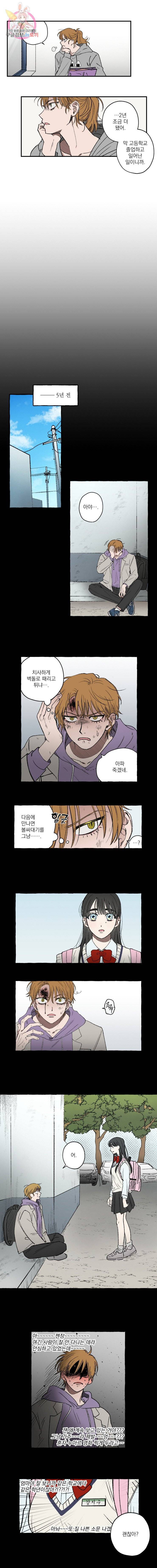 로맨틱 리벤지 9화 2