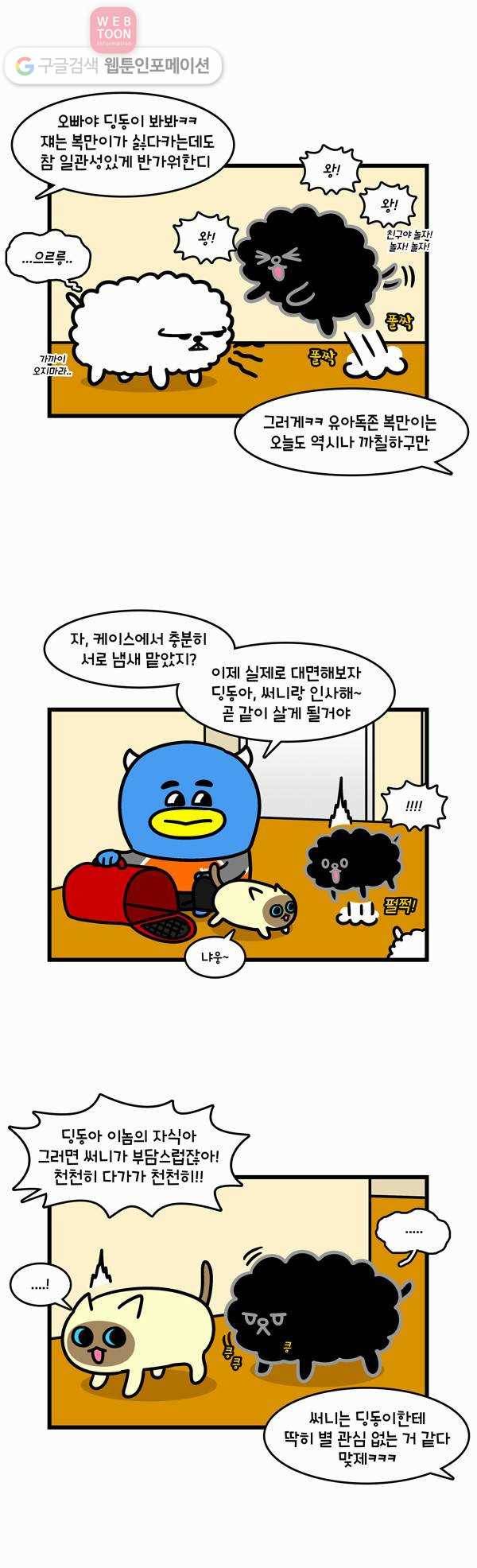 윌유메리미 258화 동물 상견례 3