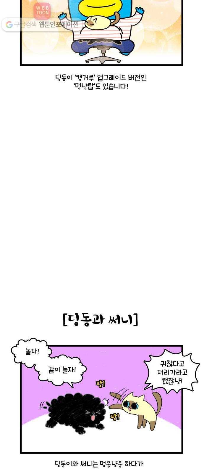 윌유메리미 시즌2 362화 반려동물 근황 1／4 - 딩동이 5