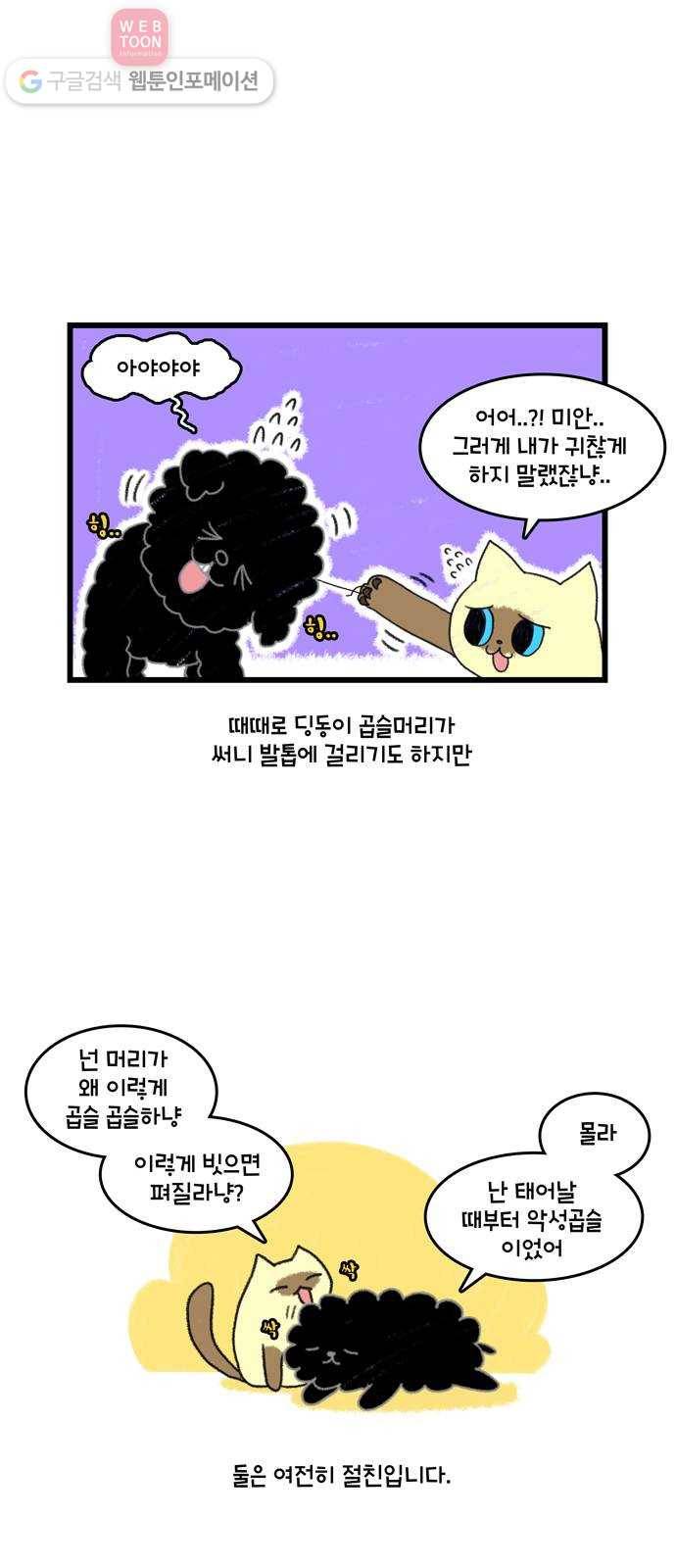 윌유메리미 시즌2 362화 반려동물 근황 1／4 - 딩동이 6