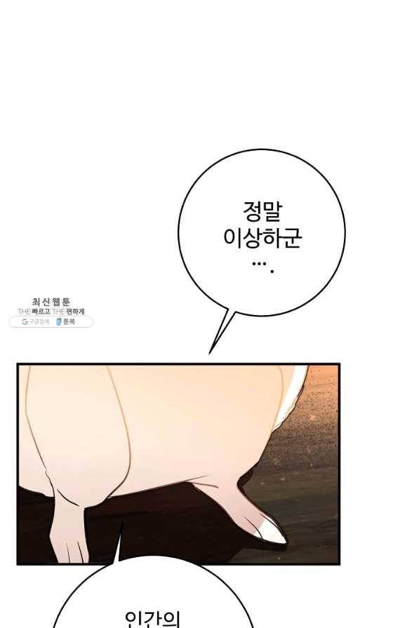 길들이는 공녀님 33화 11