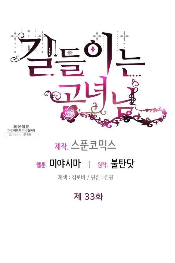 길들이는 공녀님 33화 21