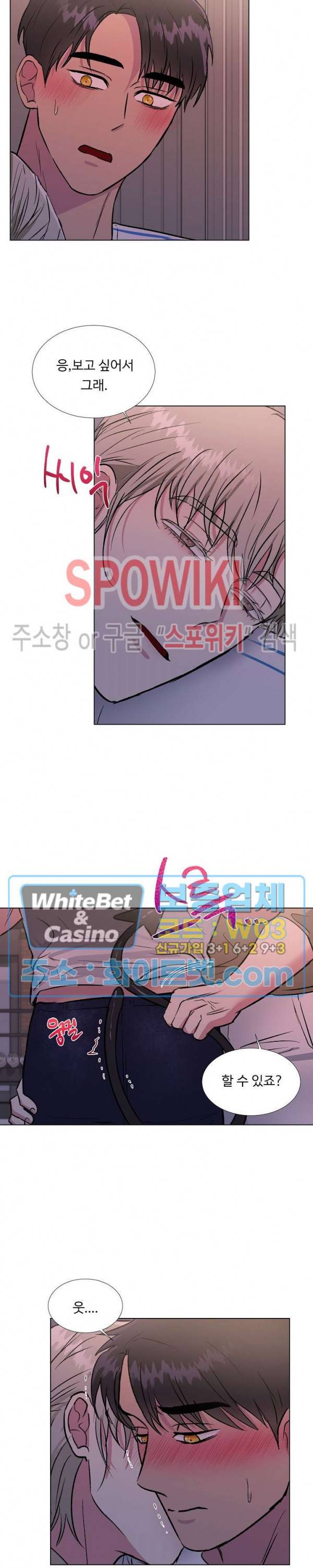 그 날개 아래에 있는 것 17화 2