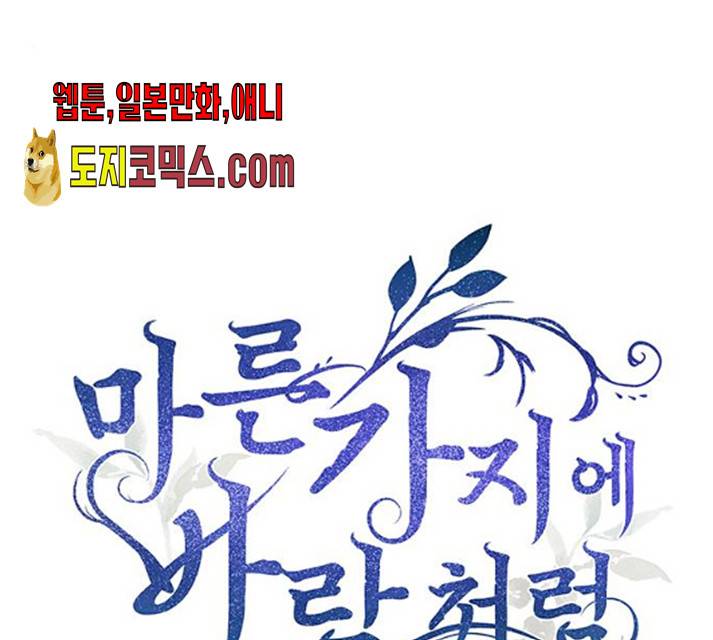 마른 가지에 바람처럼 49화 23