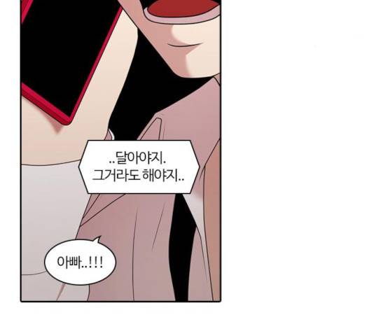 내일 211화 5