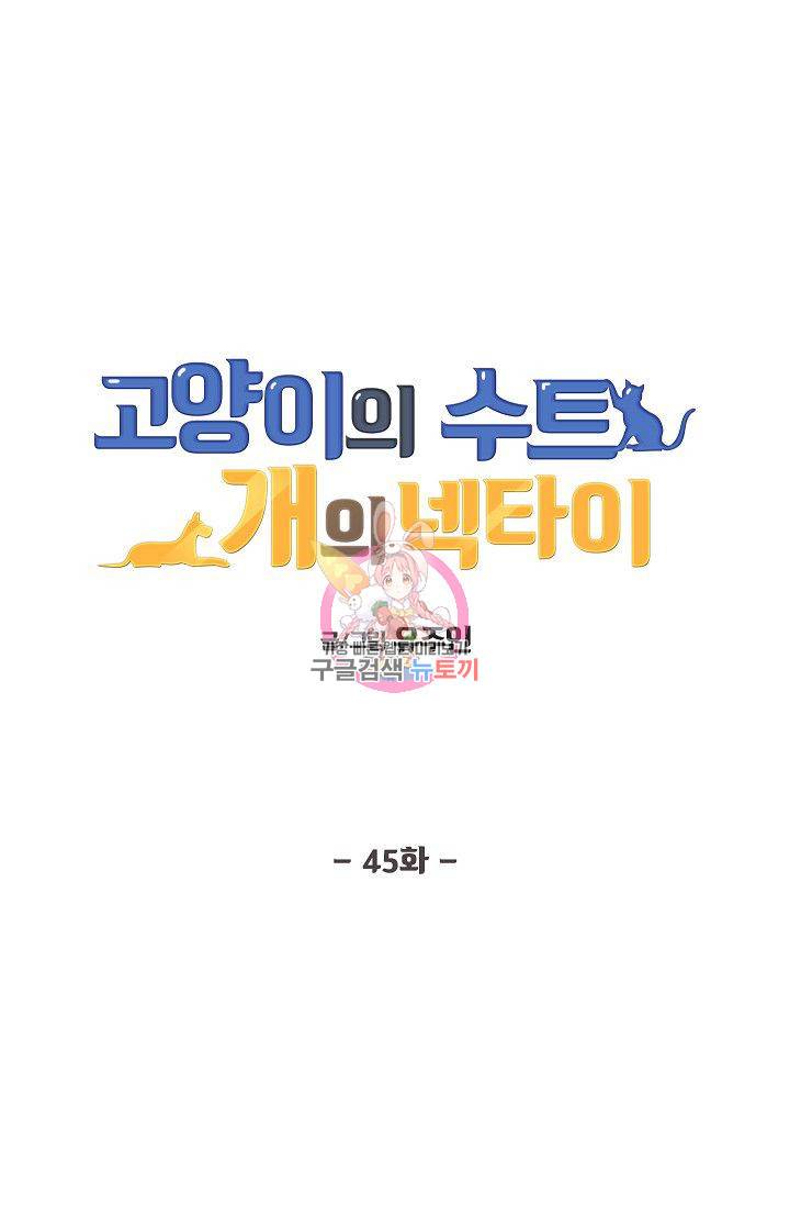고양이의 수트 개의 넥타이 45화 1