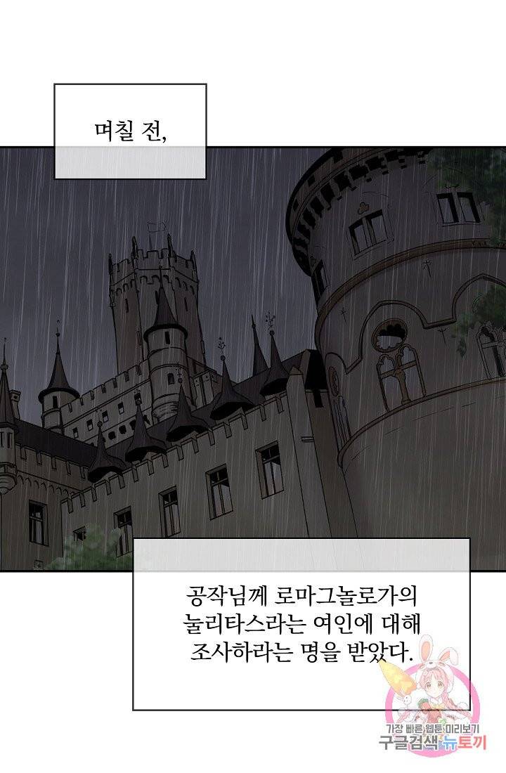 눌리타스 : 절반의 백작 영애 17화 9