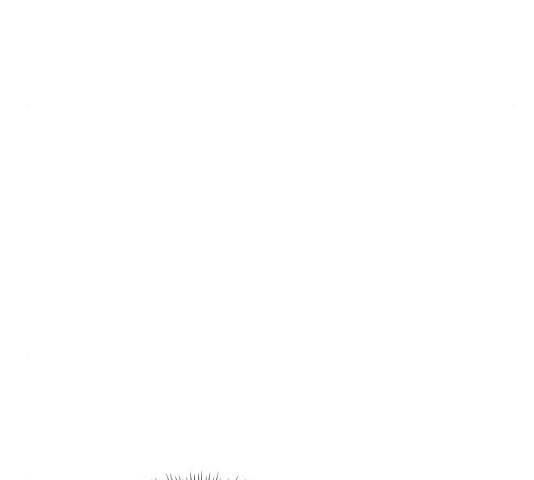 오피스 누나 이야기 49화 13