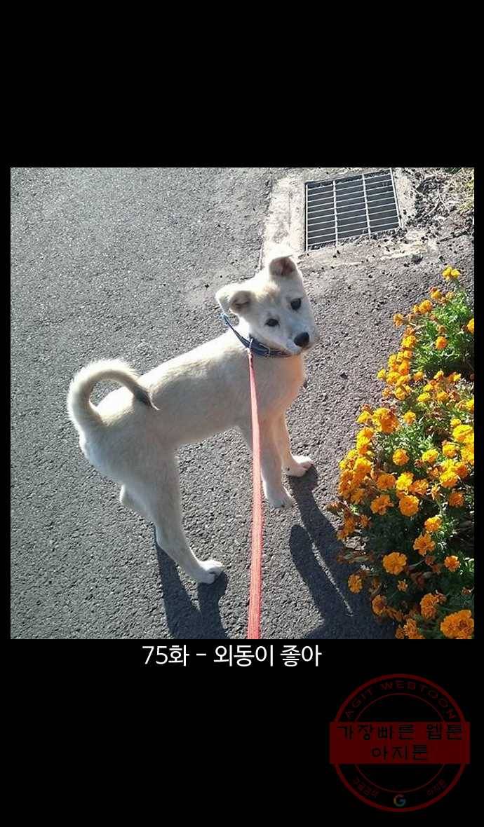 노곤하개 시즌4 75화 외동이 좋아 1