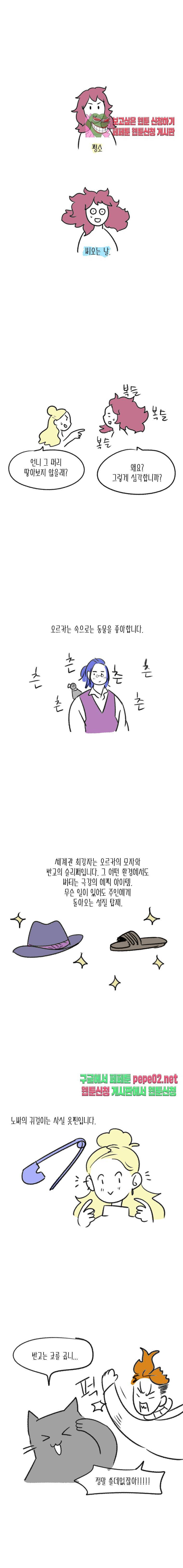 명절 특별편 4